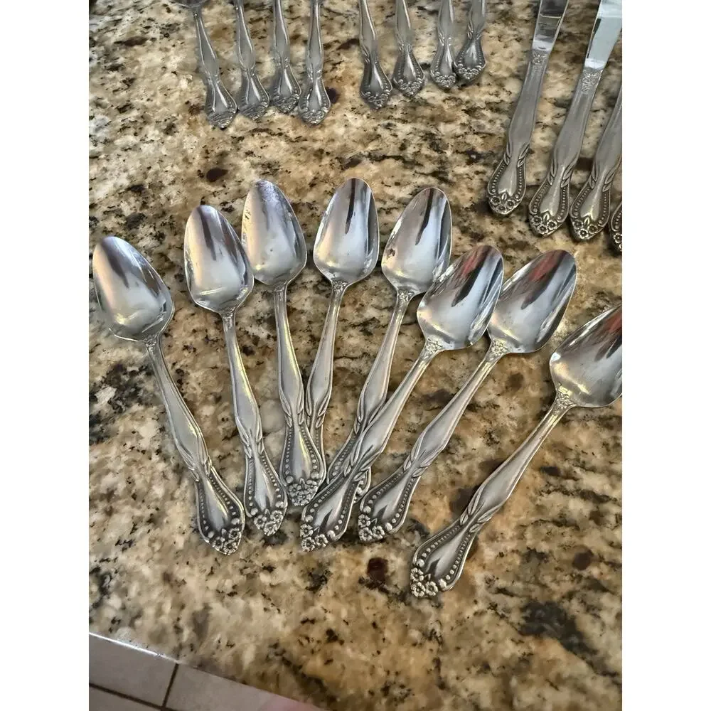 Lifetime Stainless Japan Pierrepont Flatware Mcm Set 42 Pc Service for 6 VTG